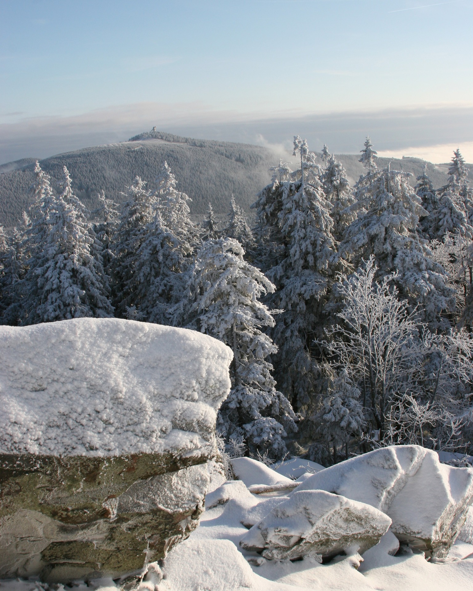 Naturerlebnis bei Skiwanderungen im Harz